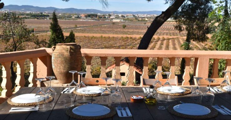 Valencia: Utiel-Requena Cave & Winery Day Trip With Tasting - Experience Highlights