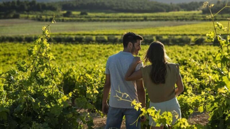 Valencia: Vineyard Tour, Local Wine Tasting and Appetizer - Discover the Authentic Charm of Valencia’s Vineyard Tour with Wine Tasting and Local Appetizers