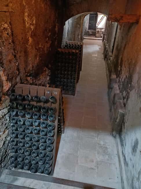 Valencia: Vineyard Tour, Local Wine Tasting and Appetizer - Final Thoughts