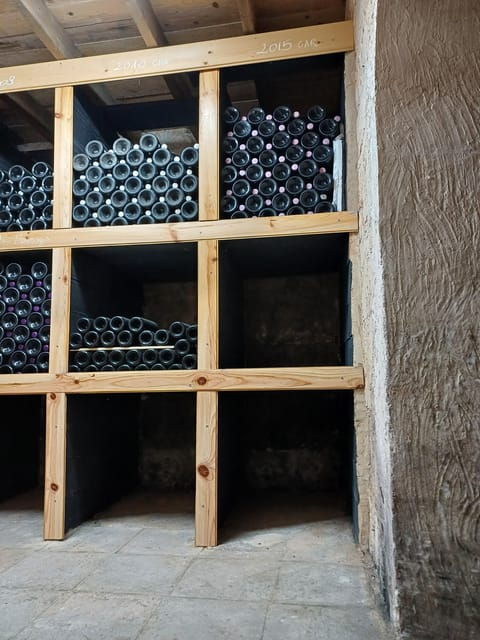 Valencia: Vineyard Tour With Local Wine Tasting & Appetizer - Getting to the Meeting Point
