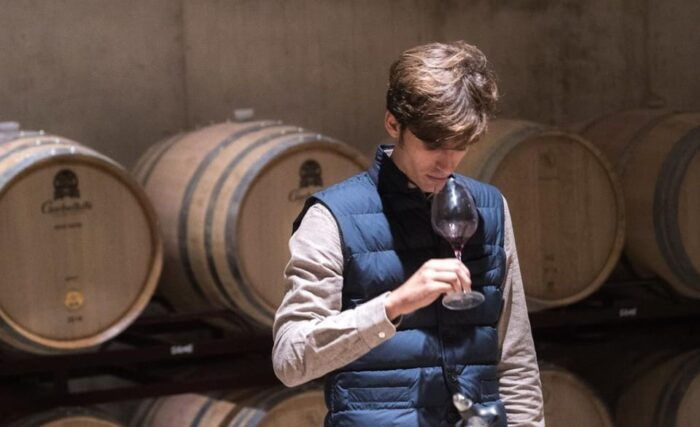 Valencia: Vineyard Tour With Local Wine Tasting & Appetizer - Age Restriction