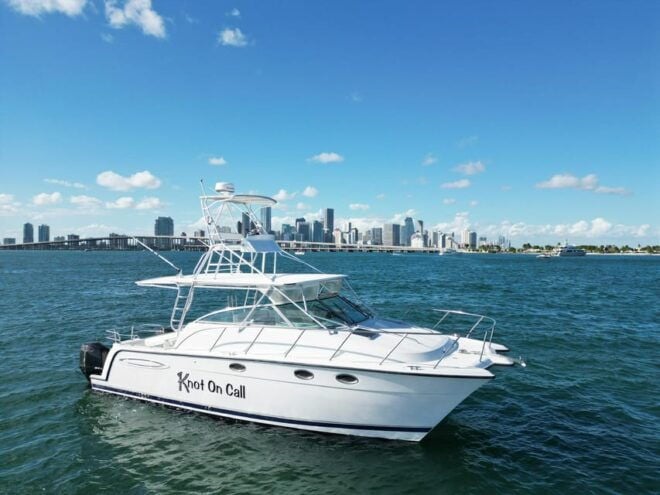 Valencia: VIP Sunset Cruise in Catamaran With Drink - Amenities and Facilities
