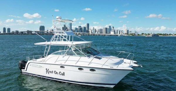 Valencia: VIP Sunset Cruise in Catamaran With Drink - Frequently Asked Questions