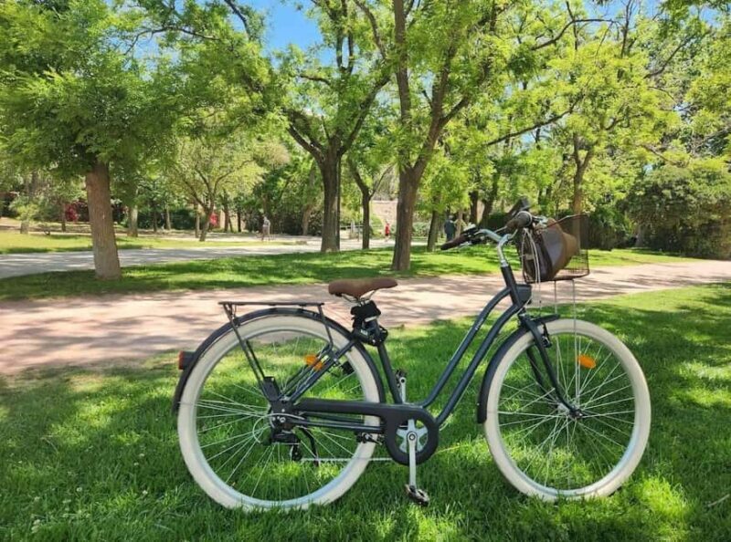 Valencia Volt Bike Rental: 4-Hour Bike Rental - Why We Love This Bike Rental Experience