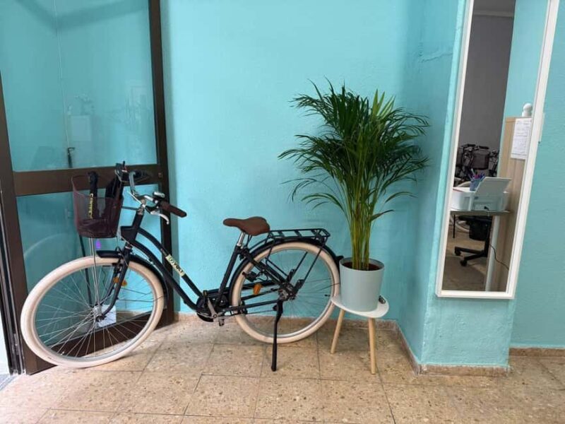 Valencia Volt Bike Rental: 4-Hour Bike Rental - Practical Details and Considerations