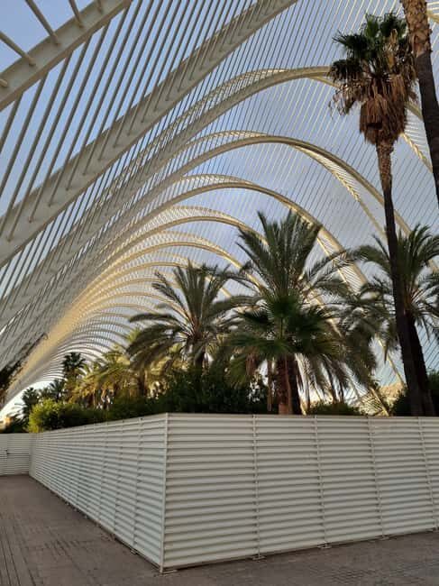 Valencia: Walking tour of the City of Arts and Sciences in Italian - Discovering the Modern Masterpieces of Valencia
