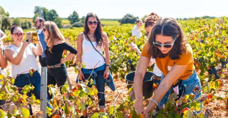 Valencia: Winery Visit With Vineyard Tour & Wine Tasting - Booking Information