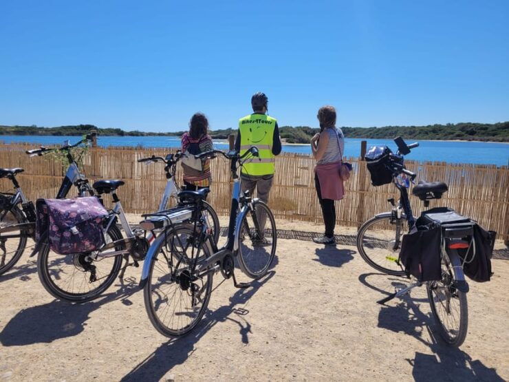 Valencias Albufera, Cycling Guided Tour - Good To Know