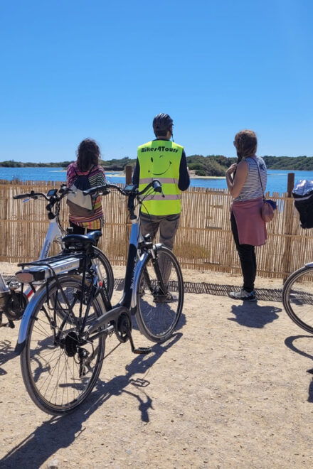 Valencias Albufera, Cycling Guided Tour - Booking Information