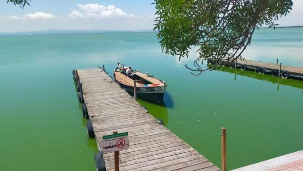 Valencias Albufera, Cycling Guided Tour - Free Cancellation