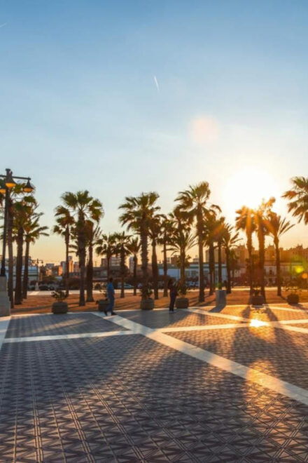 Valencia's Beaches, City of Arts, and Cabanyal - Meeting Point and Important Information