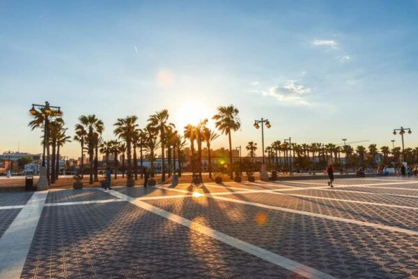 Valencia's Beaches, City of Arts, and Cabanyal - Exploring the City of Arts and Sciences