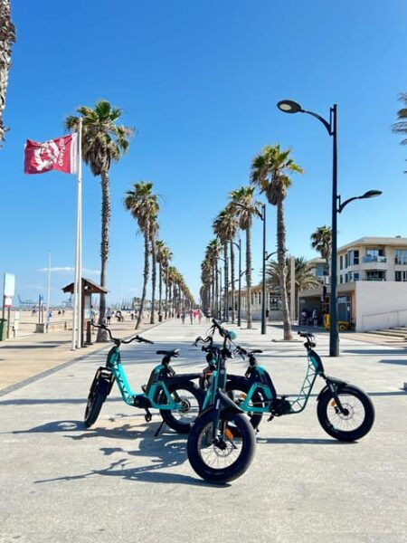 Valencias Beaches, City of Arts on a YAMAHA Electric Bike - Inclusions and Provisions
