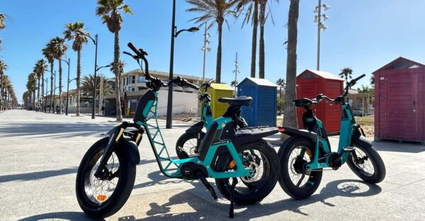 Valencias Beaches, City of Arts on a YAMAHA Electric Bike - Important Considerations