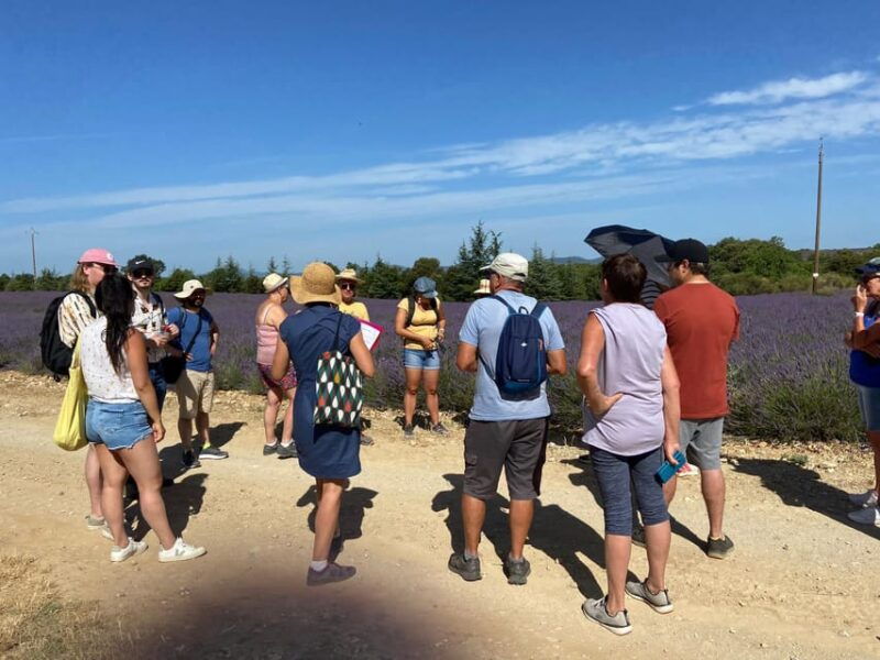 Valensole: Visit of a Winery and Lavender Farm - Inclusions