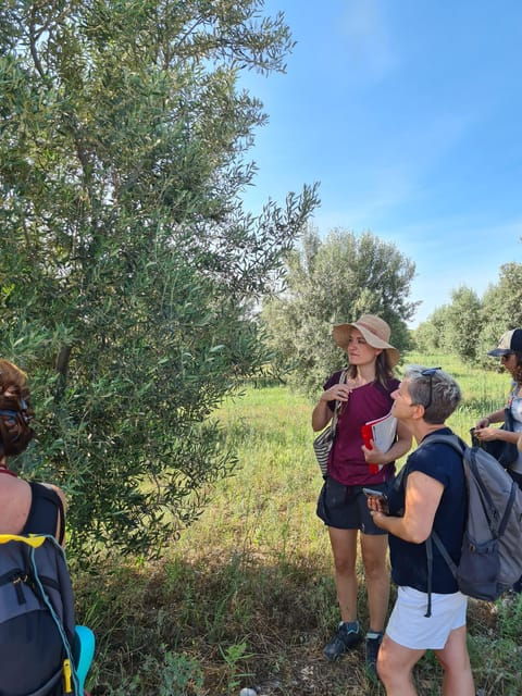 Valensole: Visit of a Winery and Lavender Farm - Important Information