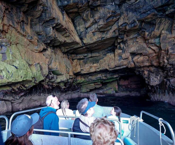 Valentia Island: the Experience Tour - Professional Guides and 5-Star Rating