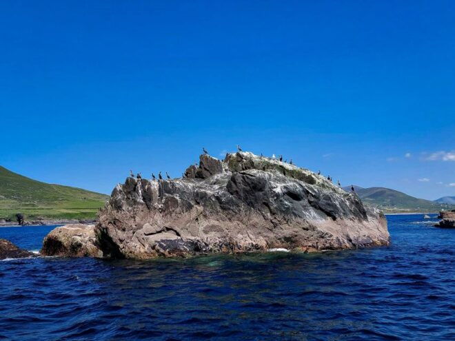 Valentia Island: the Experience Tour - Common Questions