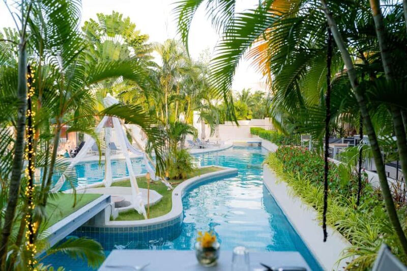 Valentines Celebration Dinner - Dining Options & Atmosphere