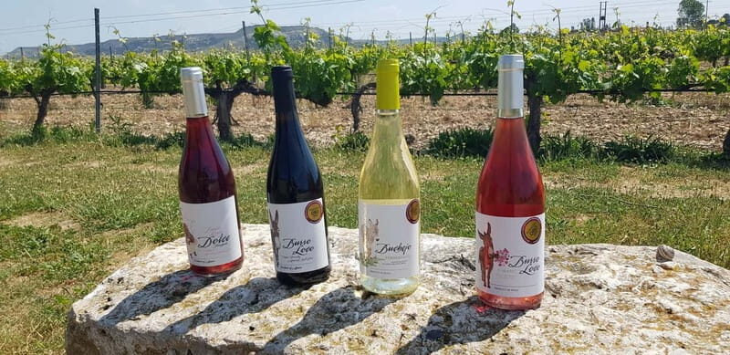 Valladolid: Concejo Bodegas - The Itinerary in Detail