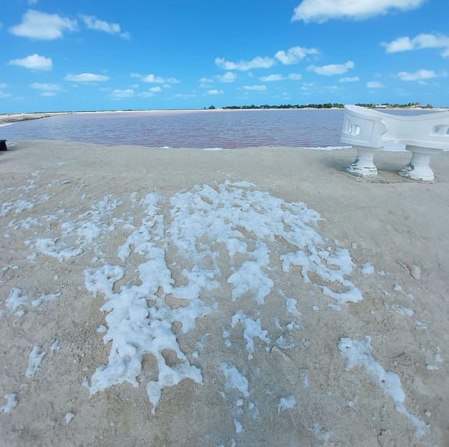 Valladolid: Rio Lagartos, Las Coloradas, Cenote & Lunch - Good To Know