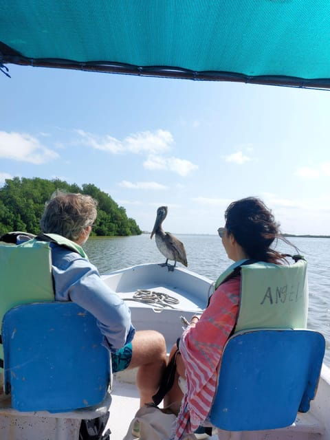 Valladolid: Rio Lagartos, Las Coloradas, Cenote & Lunch - Transportation and Pickup