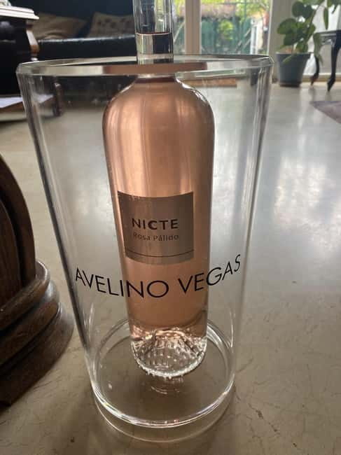 VALLADOLID: TOUR with a sommelier. Tasting of 3 wines + TAPAS. - Good To Know