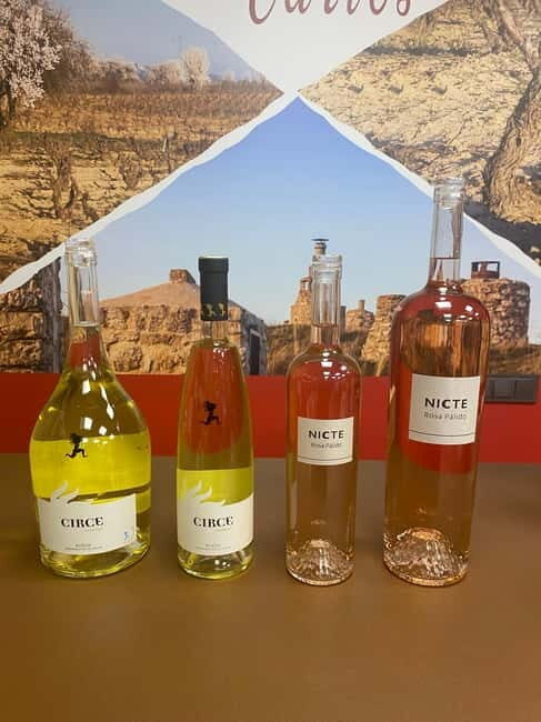 VALLADOLID: TOUR with a sommelier. Tasting of 3 wines + TAPAS. - FAQs