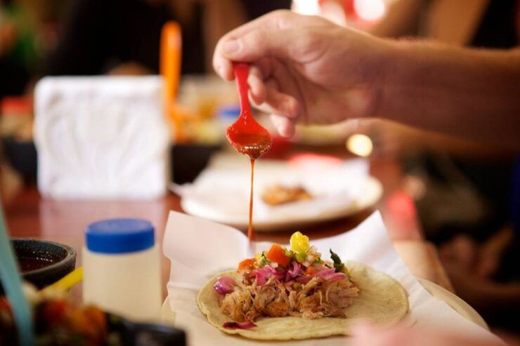 Vallarta: 3.5-Hour Pitillal Food Tour - Tour Information