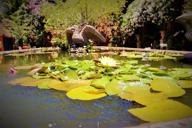 Vallarta Botanical Garden and Tequila Tasting From Puerto Vallarta - Cancellation Policy