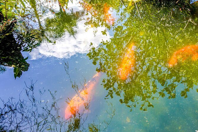 Vallarta Botanical Garden: Private Day Trip of Flora & Fauna - Who Will Love This Tour?