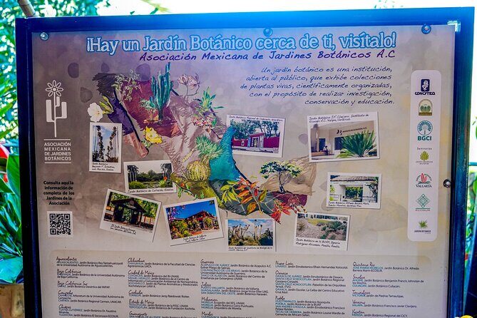 Vallarta Botanical Garden: Private Day Trip of Flora & Fauna - Final Thoughts
