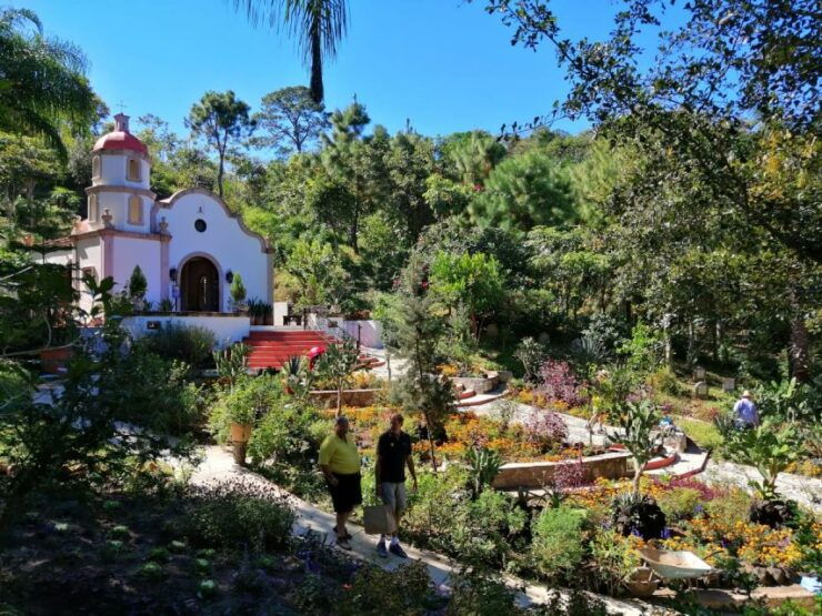 Vallarta Botanical Gardens: Entry Ticket, Tour, and Lunch - Location and Transportation