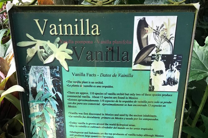 Vallarta Botanical Gardens & Horkenos River Walking Adventure - Tips for a Memorable Experience