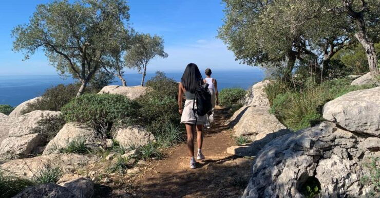Valldemossa: Town and the Most Beautiful Viewpoints - Pricing and Booking