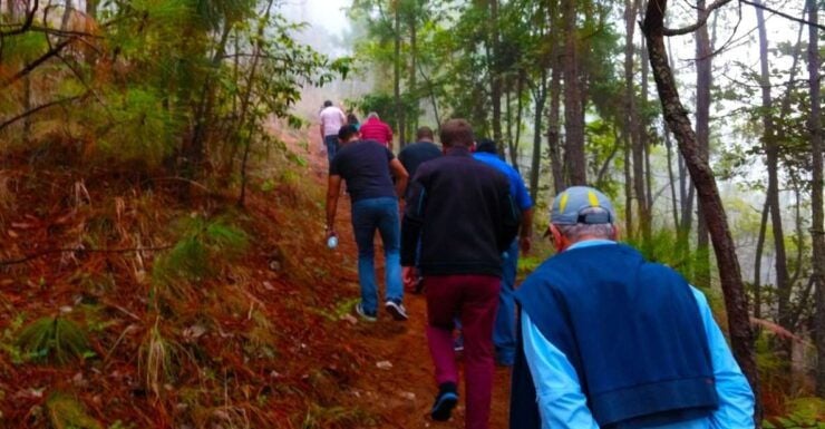 Valle De Bravo: Forest Hiking Adventure - Planning Your Forest Hike