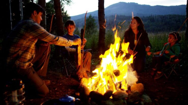 Valle De Bravo: Magical Night at the Forest - Monte Alto Natural Reserve