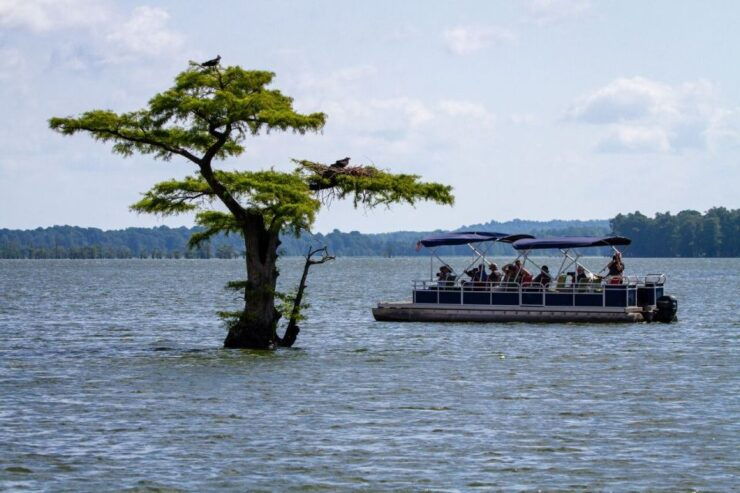 Valle De Bravo: Pontoon Ride - Experience Highlights
