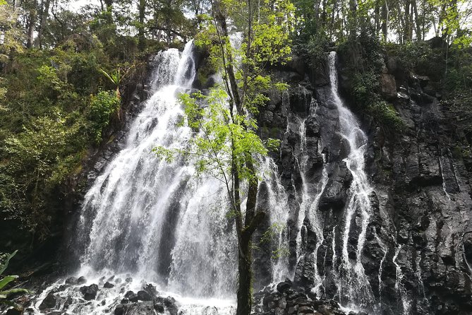 Valle De Bravo: Private Tour From Mexico City - Reviews and Ratings