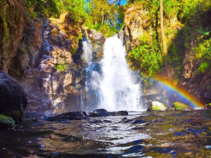 Valle De Bravo: River Expedition - Experience Highlights