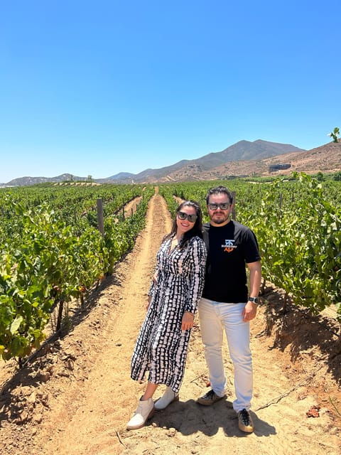 Valle De Guadalupe: All-Inclusive Wine Tour - Experience Highlights