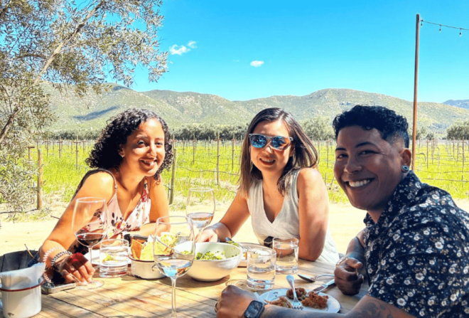 Valle De Guadalupe: All-Inclusive Wine Tour - Tour Description