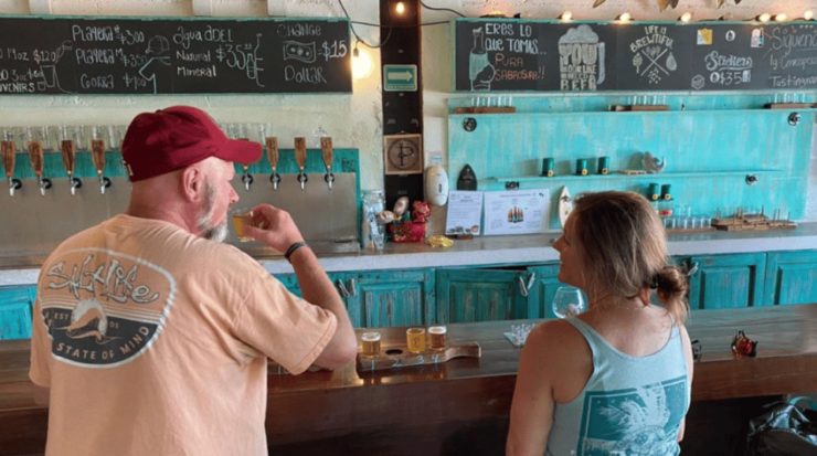 Valle De Guadalupe: Craft Beer Tour - Experience Highlights