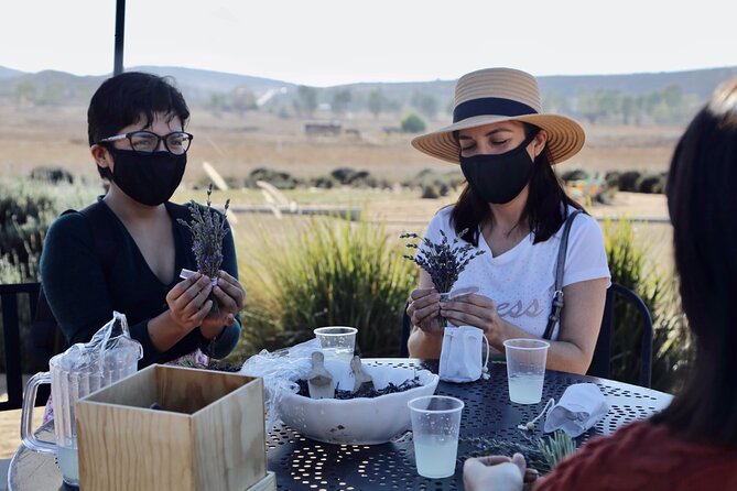 Valle De Guadalupe Get Away - The Sum Up