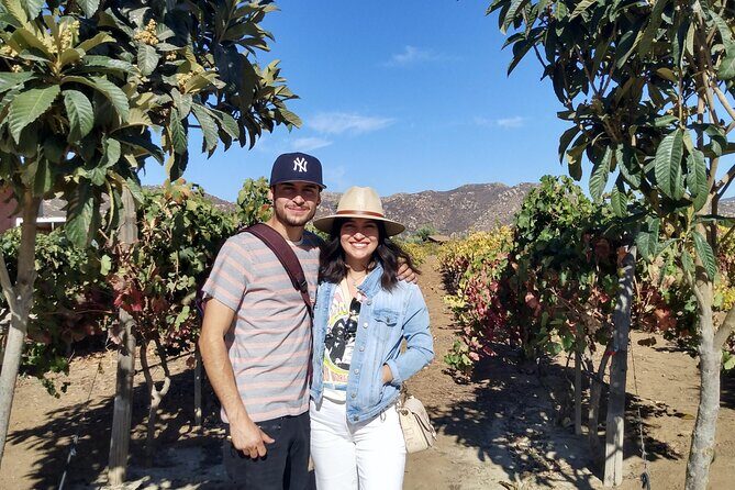 "Valle de Guadalupe", Live, Enjoy and Meet the Golden Valley - Final Thoughts