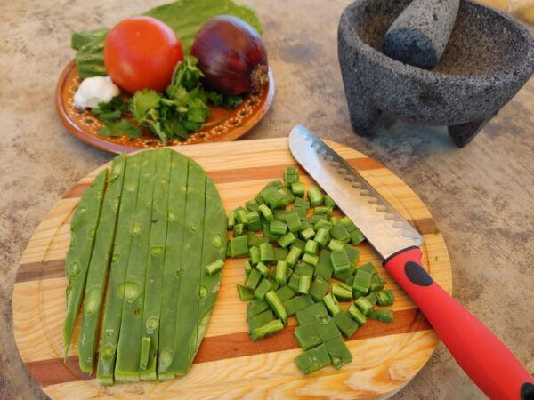 Valle De Guadalupe: Mexican Cooking at Hacienda Eco-Domes - Hands-on Cooking Session