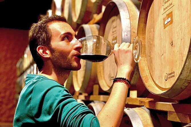 Valle de Guadalupe Premium Wine & Vineyard Wagon Tour - An in-depth look at the Valle de Guadalupe Premium Wine & Vineyard Wagon Tour