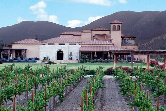 Valle de Guadalupe Premium Wine & Vineyard Wagon Tour - Price and Value