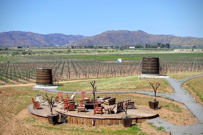 Valle De Guadalupe Private Driver and Vehicle 10 Hours - Itinerary Overview