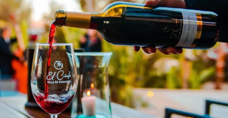 Valle De Guadalupe: The Cielo Wine Terrace Tasting Experience - Wine Tasting Selections